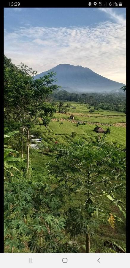 Villa Lumbung Ayu Sari & Spa การางาเซ็ม ภายนอก รูปภาพ